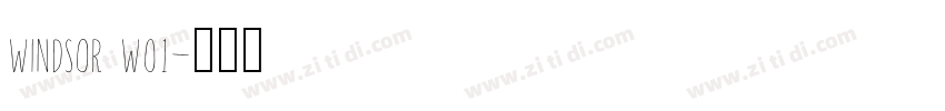 Windsor W01字体转换